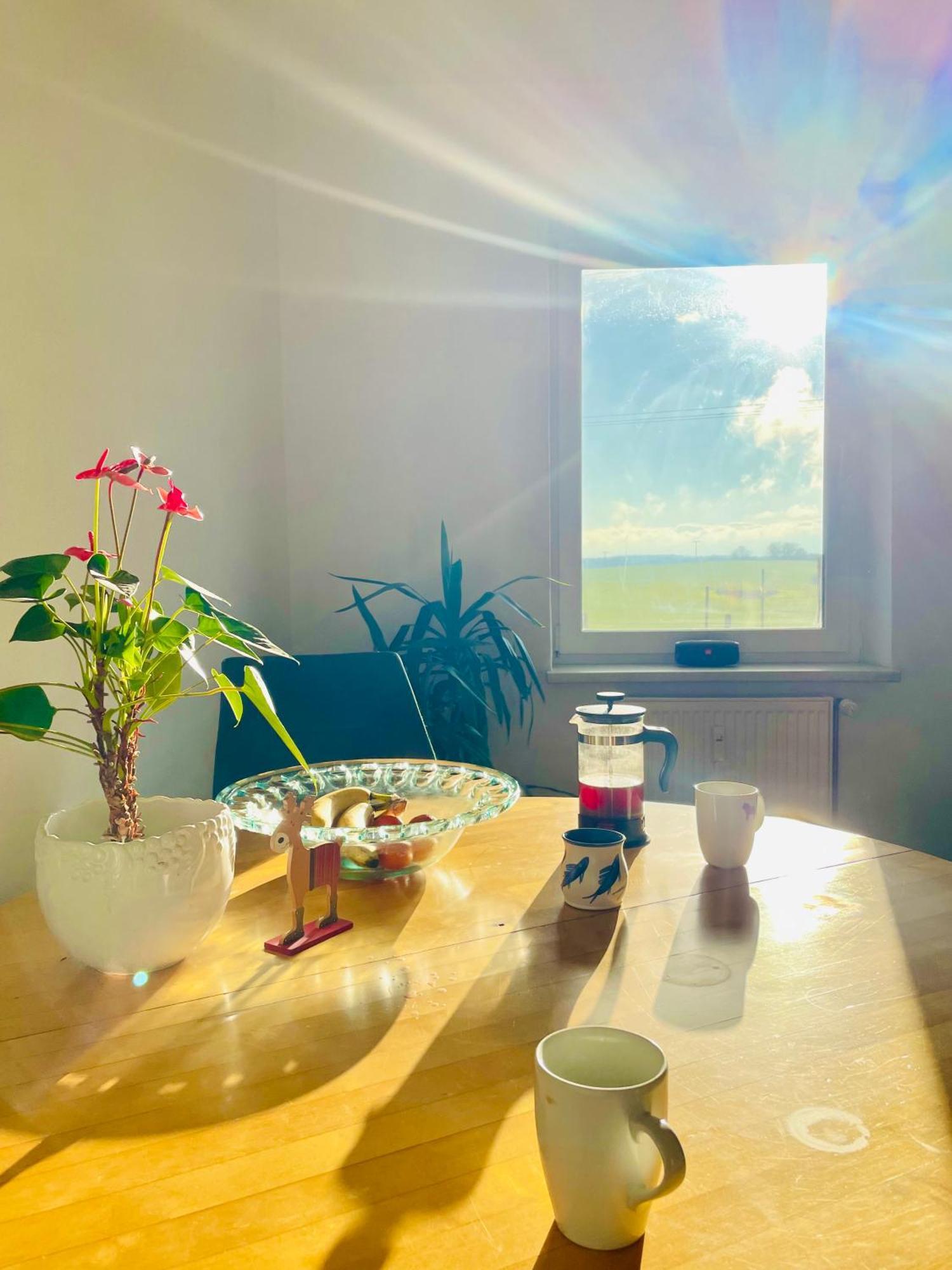 "Mts-Haus Zettemin" - 2 Familienfreundliche Ferienwohnungen In Mecklenburg Extérieur photo