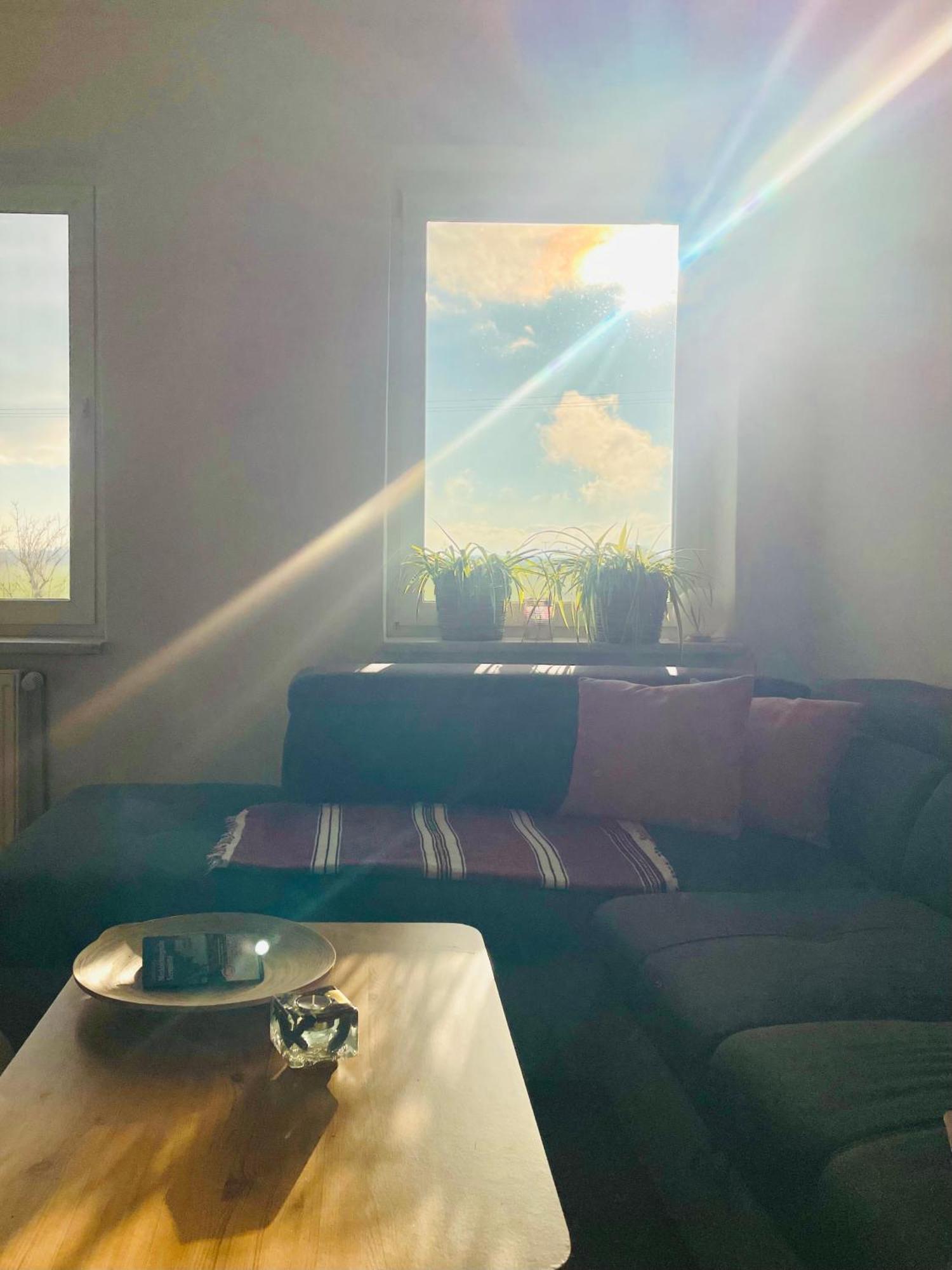 "Mts-Haus Zettemin" - 2 Familienfreundliche Ferienwohnungen In Mecklenburg Extérieur photo
